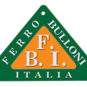 Logo-colorato-3D-FBI_page-0001